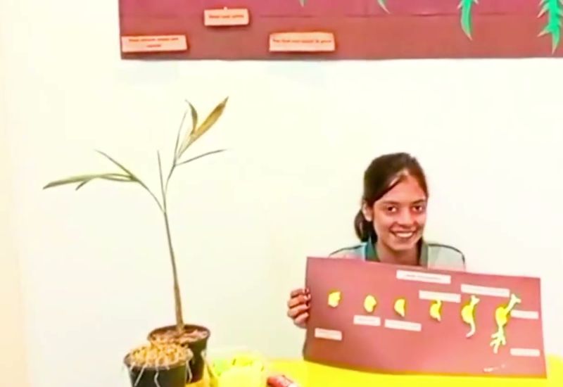 A pupil smiling as she presents her seed-germination project board at a table display beside potted seedlings.